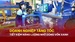Doanh nghiệp tăng tốc tiết kiệm năng lượng nhờ dòng vốn xanh 