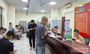 Nghệ An: Đăng ký mới xe ô tô tăng đột biến trong 8 tháng năm 2026 