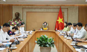 Quản lý mỹ phẩm: Chặt về an toàn, bảo vệ sức khỏe, nhưng không “siết” thị trường