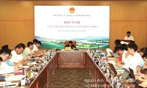 Dự thảo Luật Đất đai (sửa đổi): Giảm điều khoản, tăng phân cấp