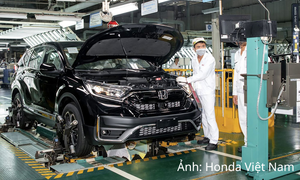 Thị trường ô tô tăng trưởng, xe nhập khẩu và xe điện tăng tốc