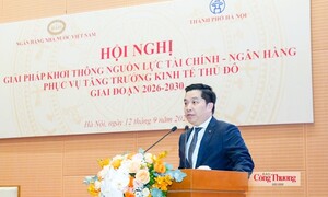 Đa dạng kênh dẫn vốn bảo đảm nguồn lực phát triển kinh tế Thủ đô
