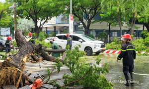 Ngành Công Thương Đà Nẵng chủ động ứng phó với diễn biến thiên tai