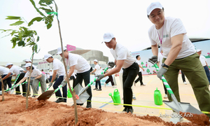 AEON MALL Thanh Hóa trồng gần 5.000 cây xanh trước thềm khai trương