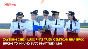 Xây dựng Chiến lược phát triển Kiểm toán nhà nước hướng tới những bước phát triển mới