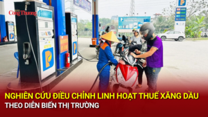Nghiên cứu điều chỉnh linh hoạt thuế xăng dầu theo diễn biến thị trường