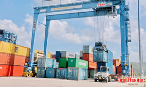 Gia Lai định hình trung tâm logistics, mở rộng cửa xuất khẩu nông sản