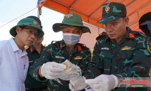 Quảng Ngãi: Hoàn thành khai quật, lấy mẫu sinh phẩm giám định ADN