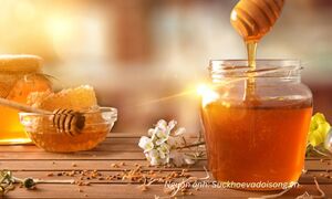 Chăn nuôi Việt Nam: Làm gì để xây dựng thương hiệu?