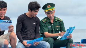 Quảng Ngãi: Quyết liệt chống khai thác IUU trong giai đoạn cao điểm