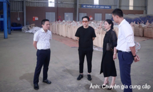 Xuất xứ CPTPP: Thoát bẫy gia công, nâng tầm chuỗi giá trị hàng Việt 