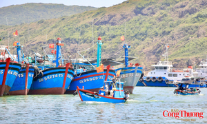 Gia Lai: Quản lý chặt đội tàu, quyết tâm gỡ thẻ vàng IUU