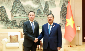 Phó Thủ tướng Thường trực Phạm Gia Túc tiếp lãnh đạo một số tập đoàn lớn của Trung Quốc 