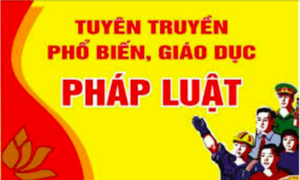 Luật Phổ biến, giáo dục pháp luật: Đồng bộ triển khai từ tháng 3/2027
