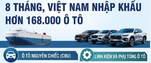 Infographic | 8 tháng, Việt Nam nhập khẩu hơn 168.000 ô tô 