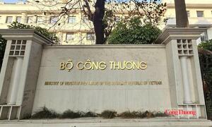 Chức năng, nhiệm vụ, quyền hạn và cơ cấu tổ chức của Cục Xuất nhập khẩu