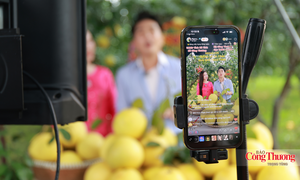Hà Tĩnh: Đưa nông sản OCOP vươn xa qua phiên Mega Live