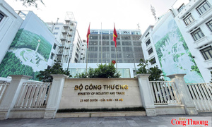 Chức năng, nhiệm vụ, quyền hạn và cơ cấu tổ chức của Cục Quản lý và Phát triển thị trường trong nước