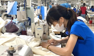 Vì sao doanh nghiệp vẫn loay hoay với quy tắc xuất xứ trong CPTPP?