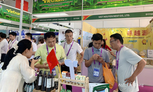 Doanh nghiệp Đà Nẵng tìm cơ hội xuất khẩu tại Hội chợ Trung Quốc–ASEAN