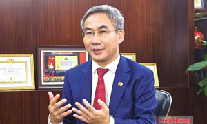 Chủ tịch VSA: Phòng vệ thương mại để bảo vệ sản xuất, tạo nền tảng cho tăng trưởng cao