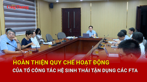Hoàn thiện Quy chế hoạt động Tổ công tác Hệ sinh thái tận dụng các FTA