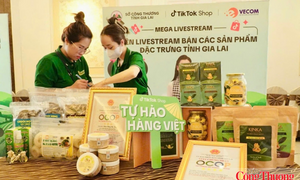 Gia Lai mở rộng thị trường, thu hẹp khoảng cách số tại các vùng, miền