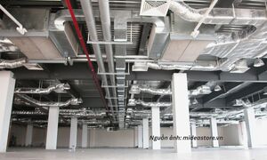 Bảo vệ tầng ozone: Khi chính sách không thể đứng riêng