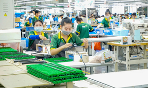 Hướng dẫn xác định dự án xanh, dự án tuần hoàn