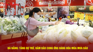 Đà Nẵng: Tăng dự trữ, đảm bảo cung ứng hàng hóa mùa mưa bão