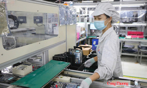 Mặt trận Tổ quốc Việt Nam: Cầu nối liên kết chuỗi giá trị