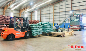 Gia Lai nâng giá trị ngành hàng xuất khẩu chủ lực