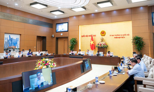 Đề xuất bổ sung chính sách phát triển kinh tế biển hiện đại, xanh, tuần hoàn