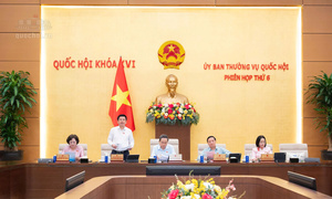 Những vấn đề cần làm rõ khi xây dựng Luật Giao dịch hàng hóa phái sinh