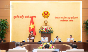 Sửa đổi, bổ sung nhiều chính sách thuế trong lĩnh vực giáo dục, đào tạo