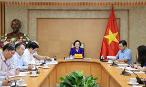 Phó Thủ tướng Phạm Thị Thanh Trà họp về xây dựng Đề án cải cách chính sách tiền lương và BHXH