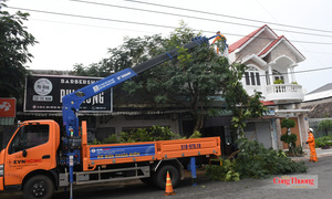 TP. Hồ Chí Minh chủ động giải pháp bảo đảm an toàn điện mùa mưa bão