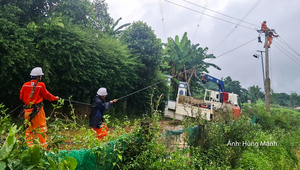 Thanh Hóa: Đảm bảo an toàn, từng bước khôi phục điện sau mưa lũ