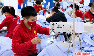 ADB nâng dự báo tăng trưởng GDP của Việt Nam