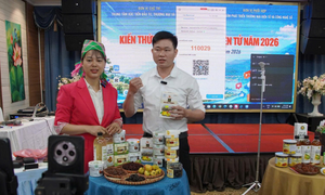 AI, livestream đang thay đổi cách bán hàng online