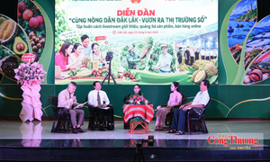 Đắk Lắk: Nông dân lập nhóm bán hàng online, liên kết mở rộng thị trường