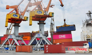 Việt Nam - Canada: Nâng tầm quan hệ, mở rộng cơ hội hợp tác