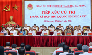 Thủ tướng: Sửa đồng bộ các luật nhằm không để giá đất tăng cao và bảo đảm chỗ ở cho người dân