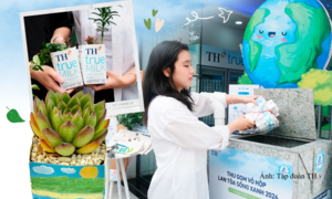 Cùng TH “Thu gom vỏ hộp - lan tỏa sống xanh” đến trẻ em vùng cao 