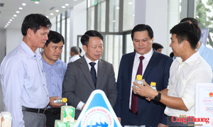 Quảng Ngãi tìm động lực mới để trở thành cực tăng trưởng miền Trung