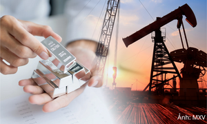 Giá bạc giảm về mức thấp nhất trong 2 tuần