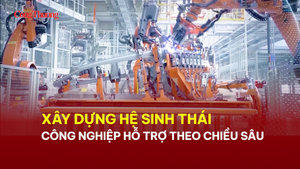 Xây dựng hệ sinh thái công nghiệp hỗ trợ theo chiều sâu