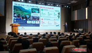 Đà Nẵng: Nâng cao chất lượng nguồn nhân lực thương mại điện tử