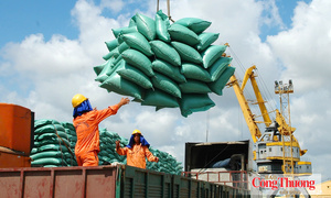 Nghị định 365/2026/NĐ-CP: Tạo thuận lợi cho kinh doanh xuất, nhập khẩu gạo