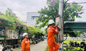 Ngành điện Huế chủ động cấp điện an toàn mùa mưa bão